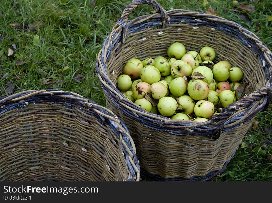 Half-empty or half-full basket with fresh green apples. Half-empty or half-full basket with fresh green apples