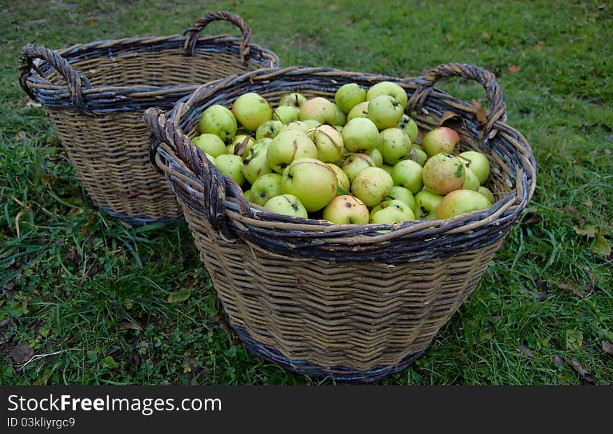 Fresh green apples in basket