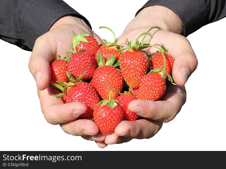 Fresh, juicy and healthy strawberries in the hands