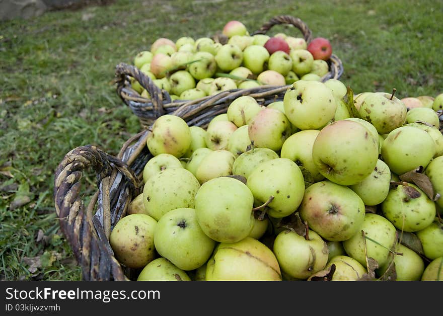 Fresh green apples in baskets