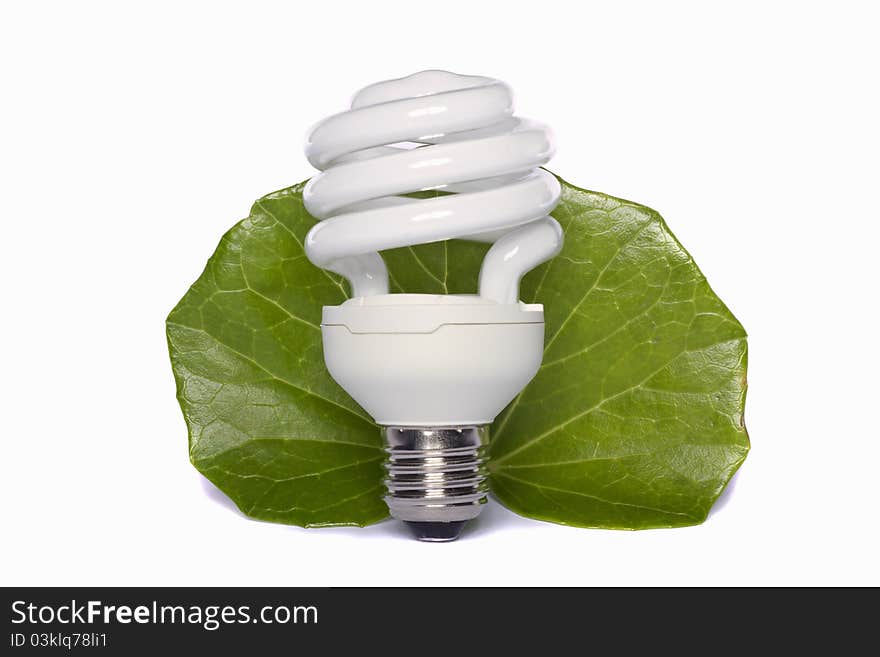 Light bulb standing on a white background