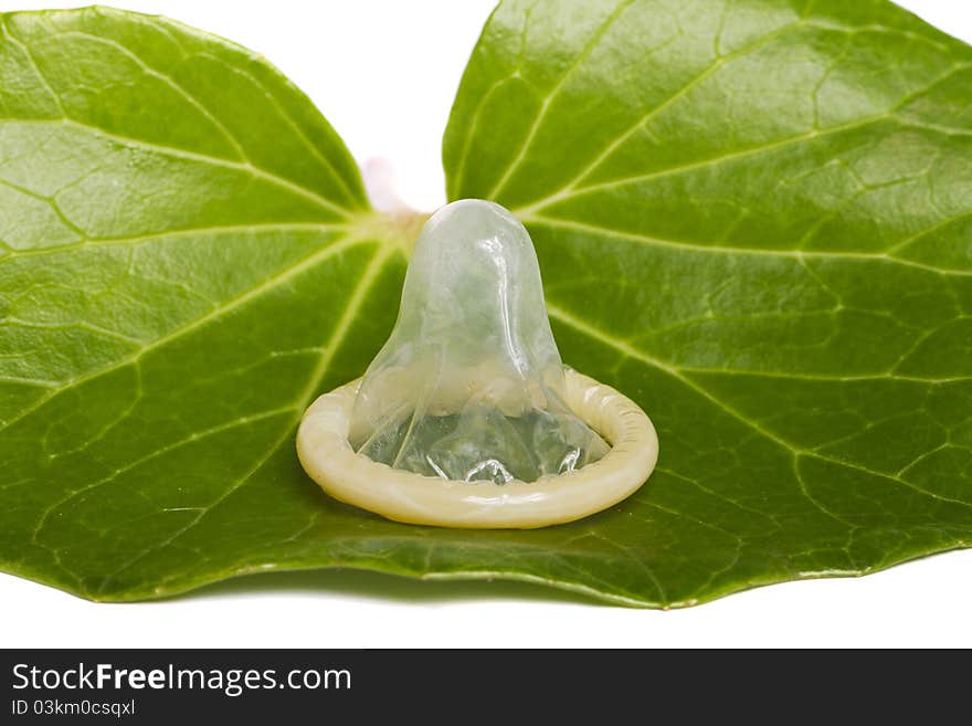 Condom on a green leaf