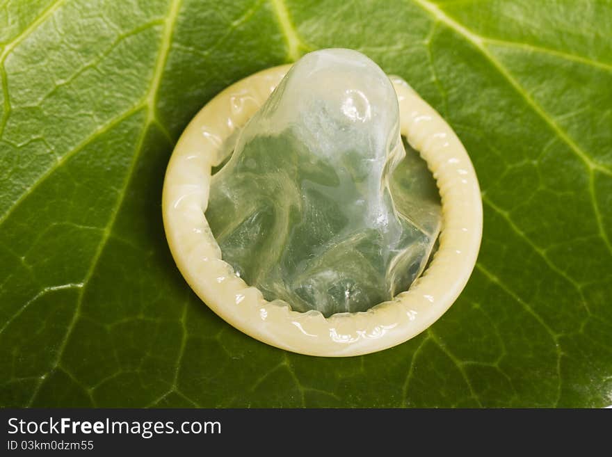 Condom on a green leaf