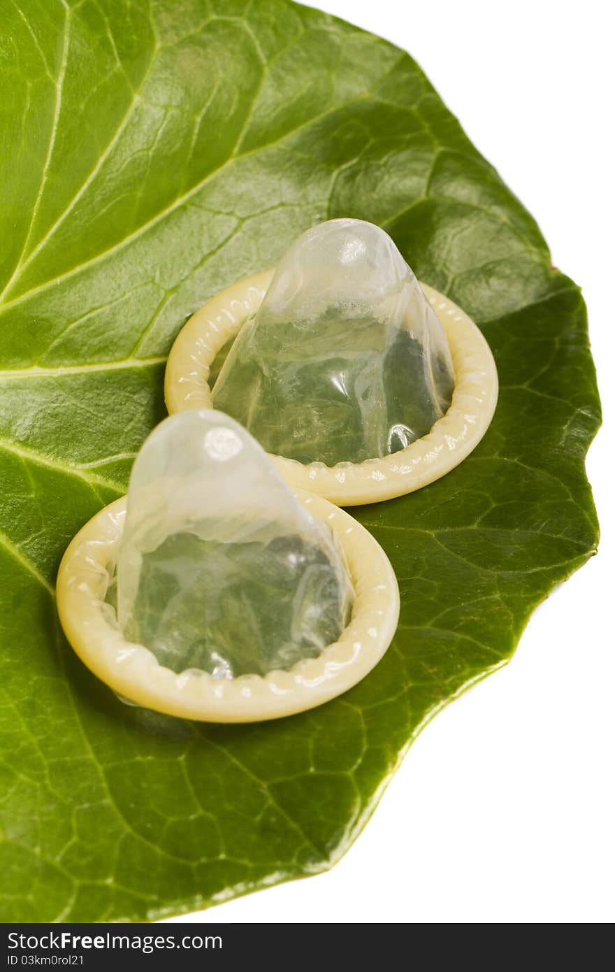 Two condoms on a green leaf