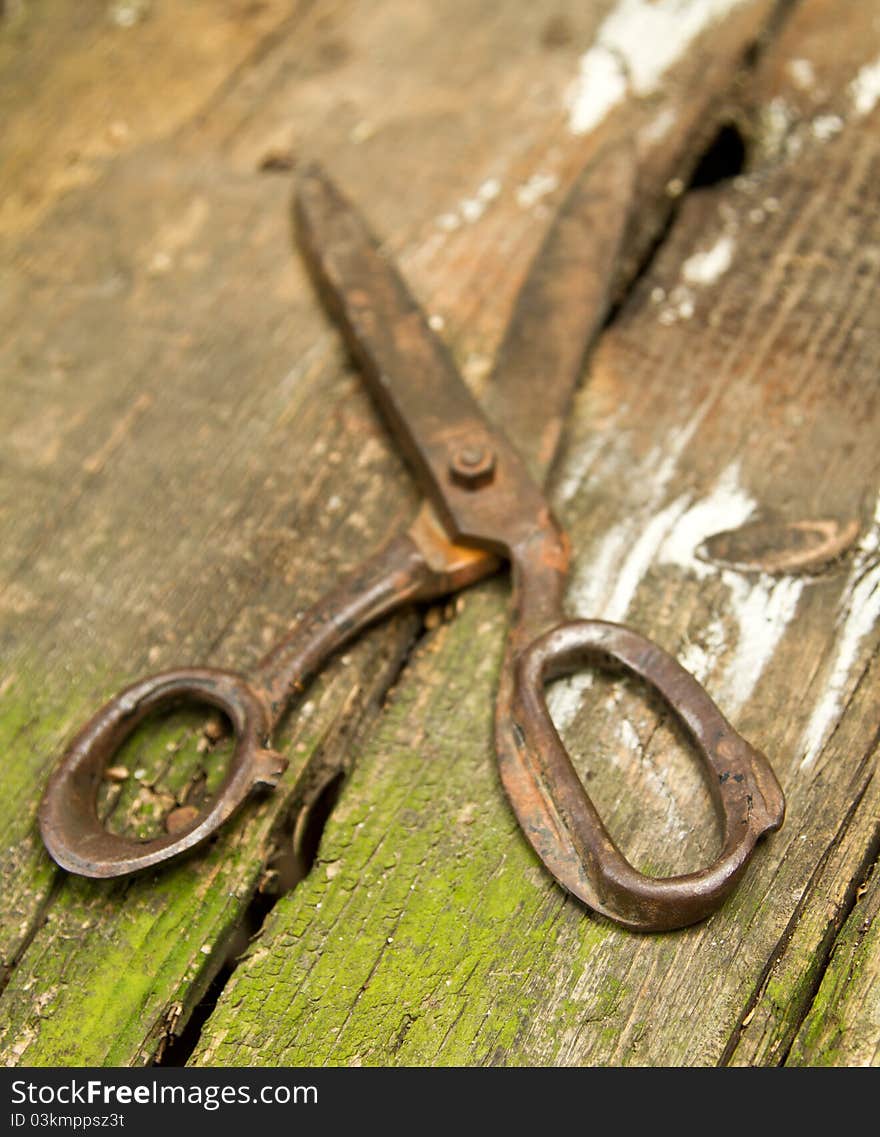 Old Scissors