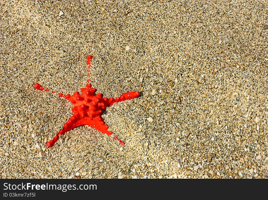 Red Starfish