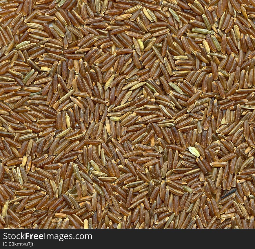 Brown Rice High Resolution Close-up