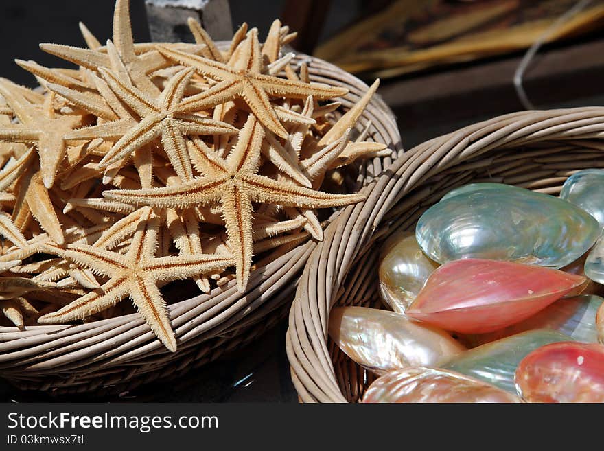 Baskets of Sea Shells and Starfish For Sale