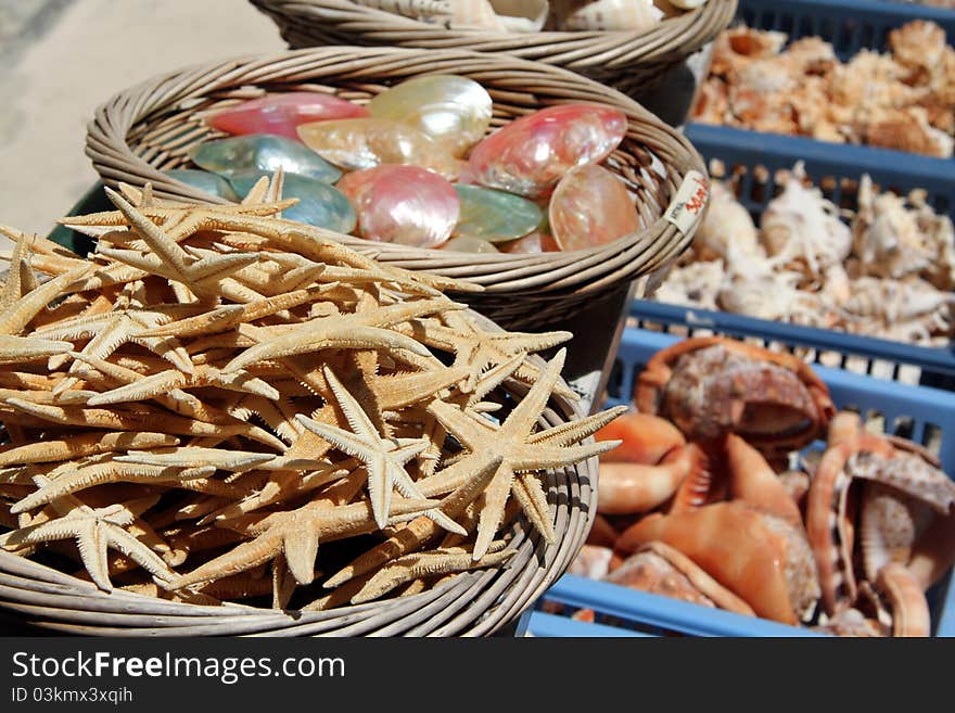 Baskets of Sea Shells and Starfish For Sale