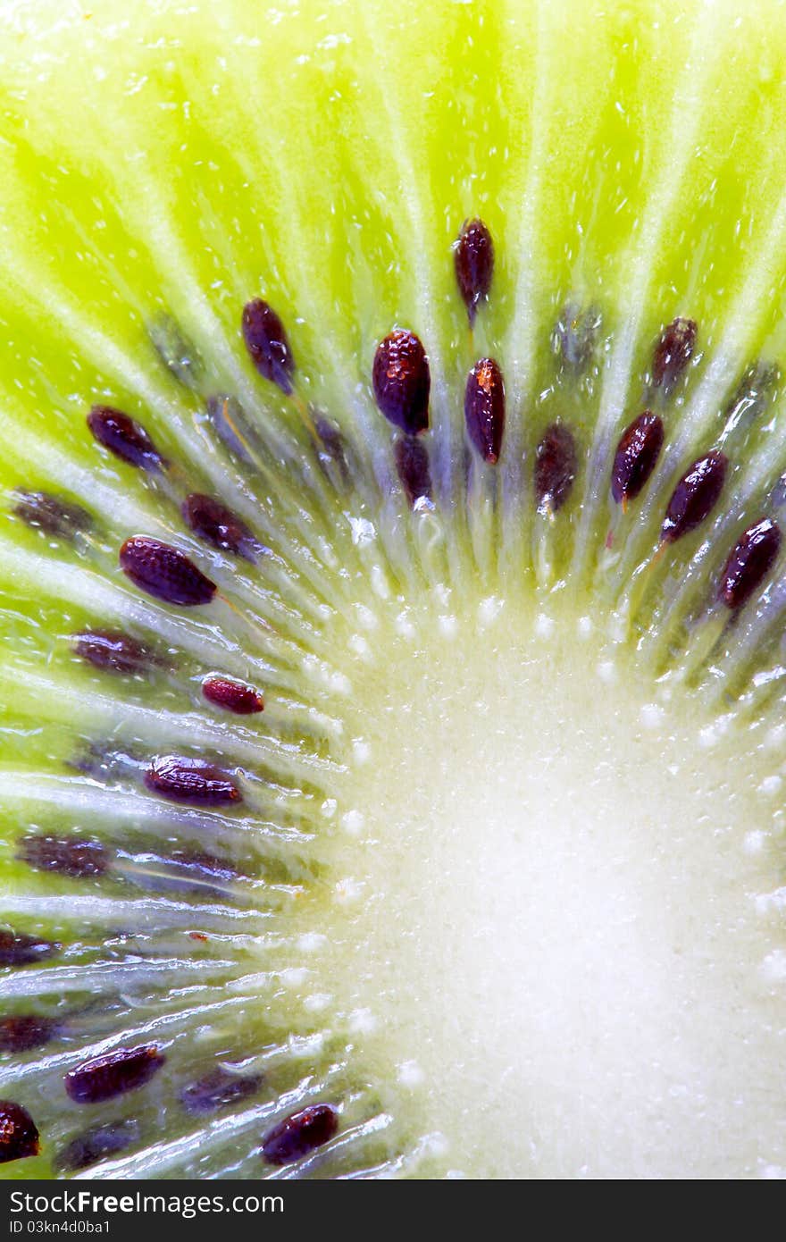 Inner part of kiwi fruit close-up