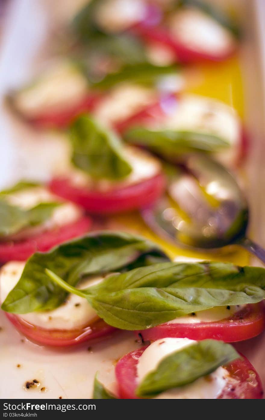 Tomatoes with mozarella and basil. Tomatoes with mozarella and basil