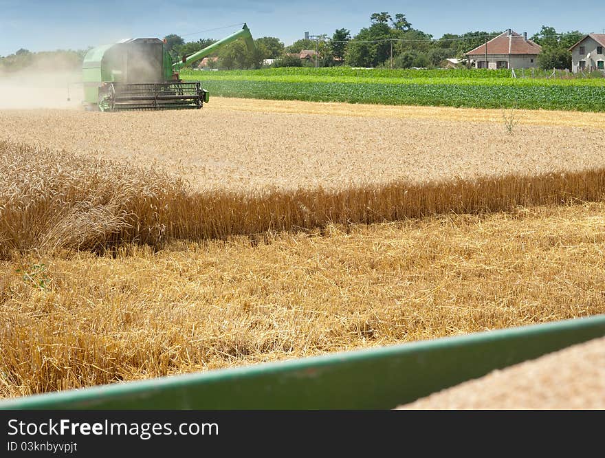 Combine Harvester Working