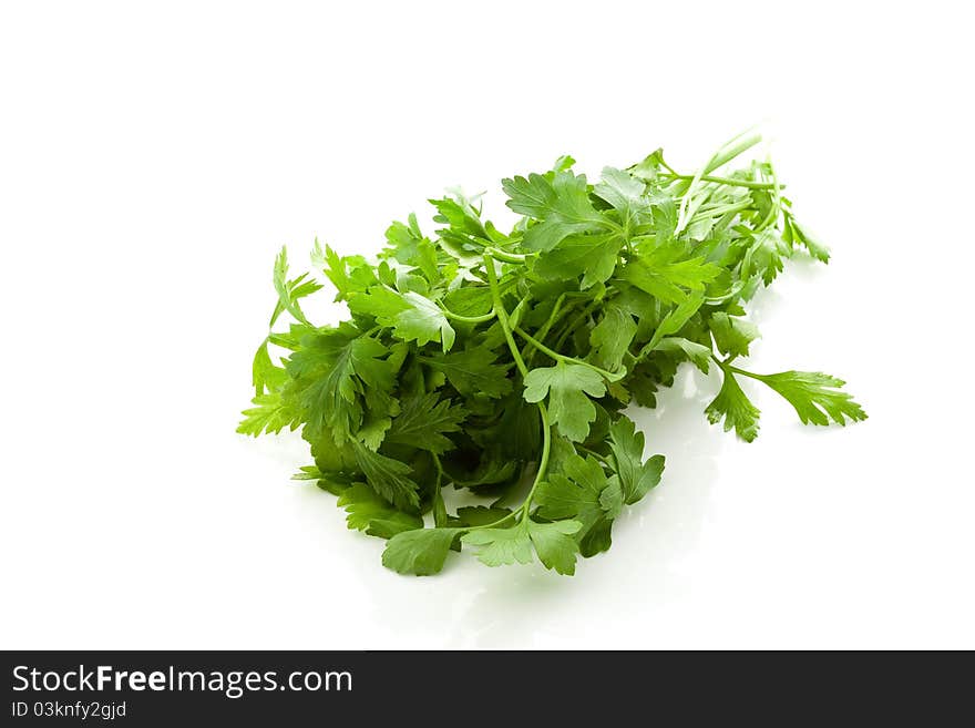 Photo of fresh parsley on white isolated background. Photo of fresh parsley on white isolated background