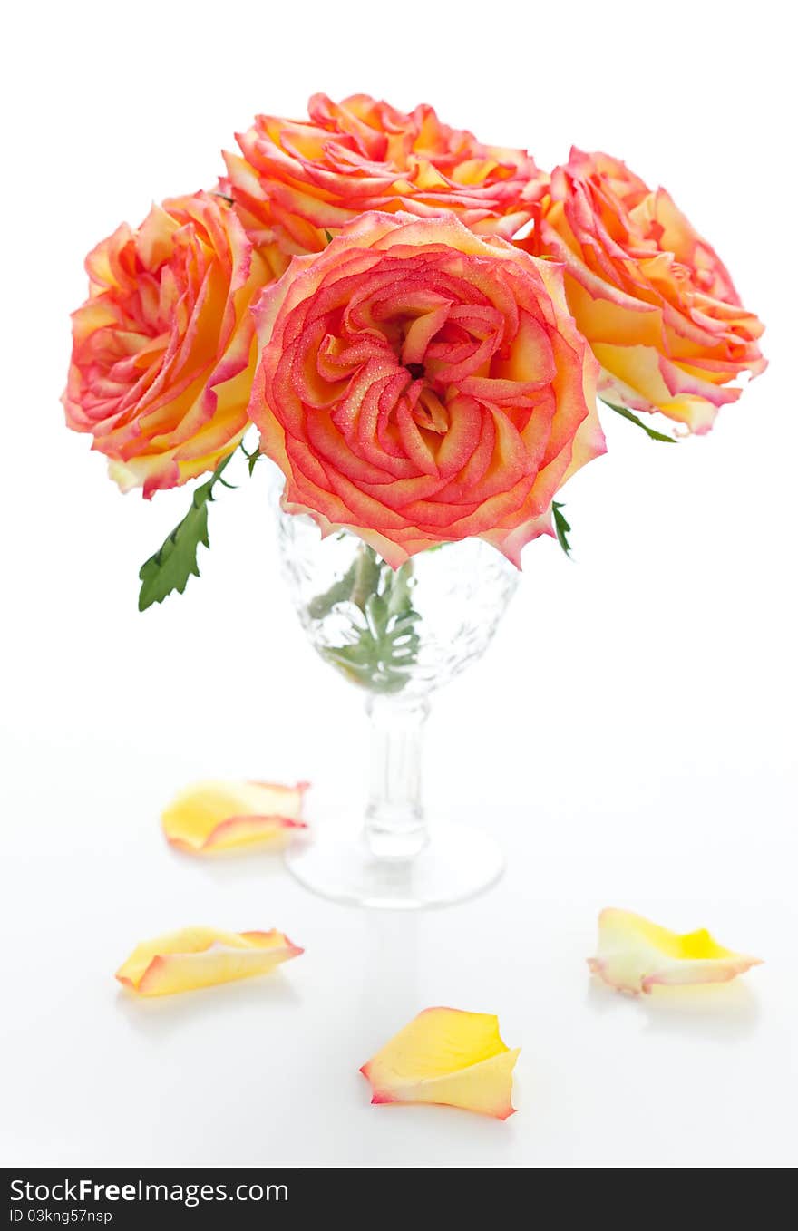 Bouquet of  roses in vase on the white background