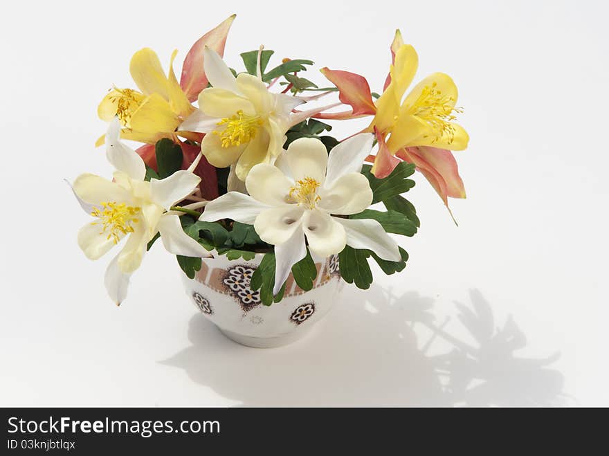 Flowers in a cup on a white background