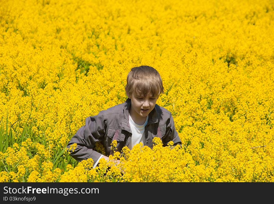 Boy on yellow flowers