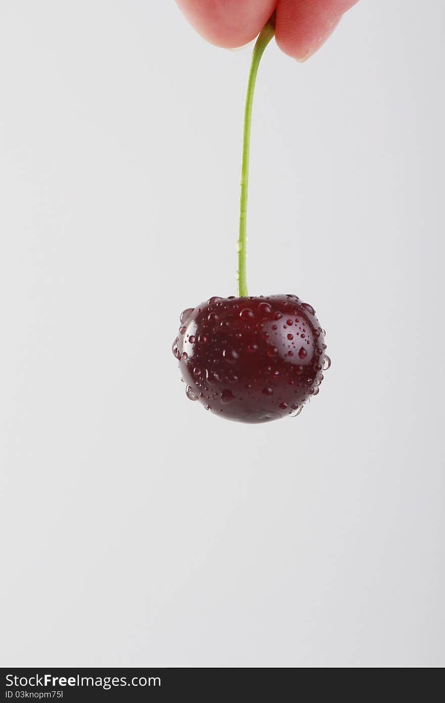 Dark red cherry with waterdrops