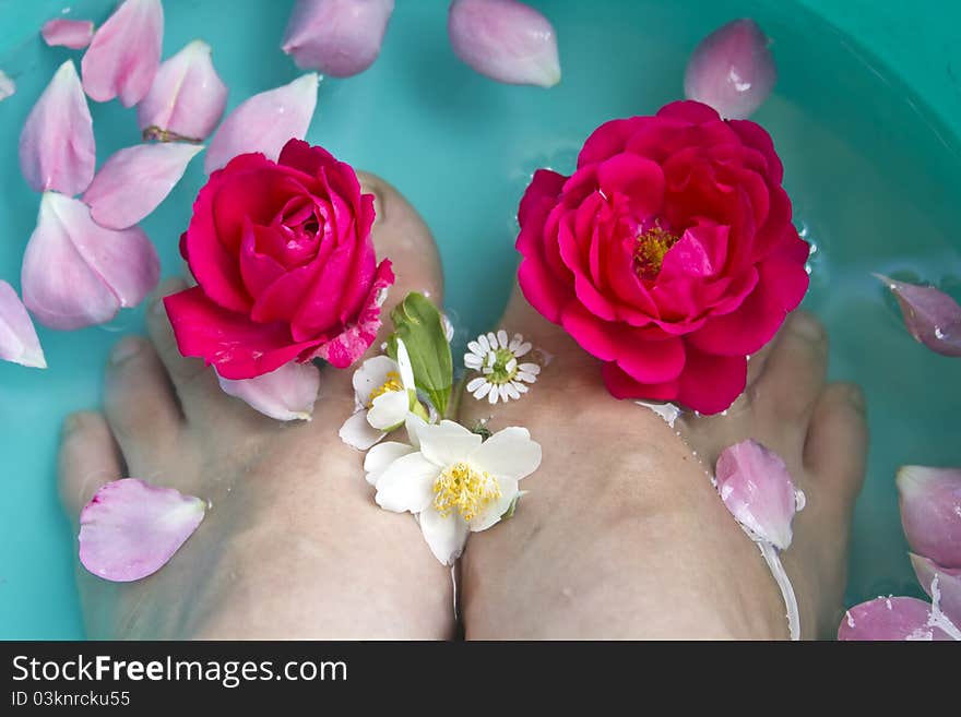 Spa composition of woman's legs and flowers. Spa composition of woman's legs and flowers