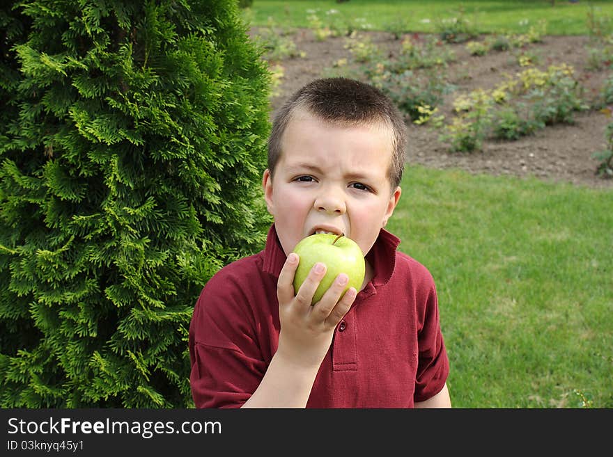 Little boy eating apple