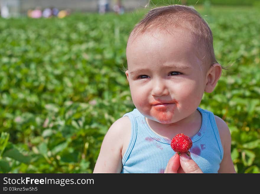 Baby eating strawberry in a strawberry field