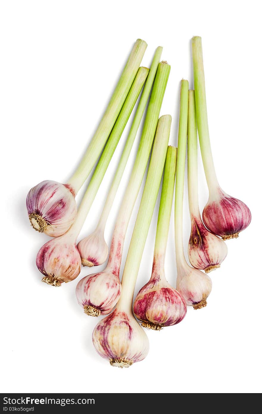 Bunch of garlics isolated on white