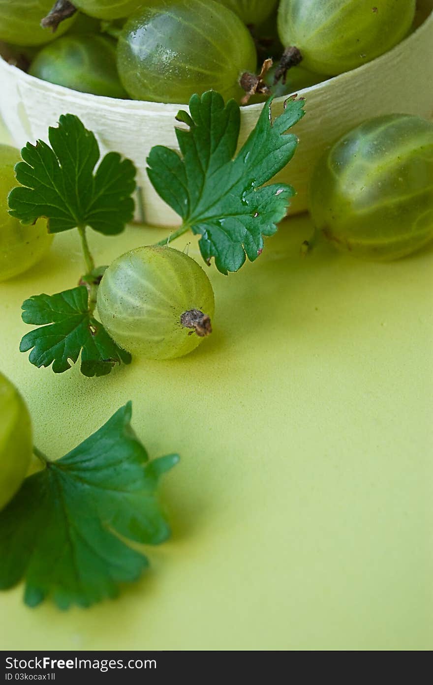 Gooseberries with leaves