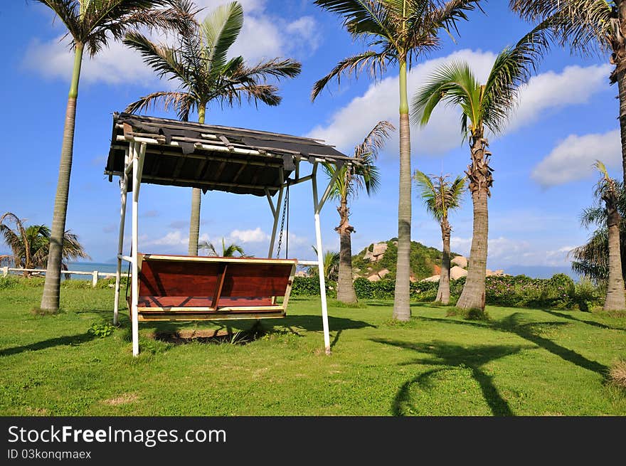 Palm tree on green meadow, and swing, shown as good living environment and enjoy holiday. Palm tree on green meadow, and swing, shown as good living environment and enjoy holiday.