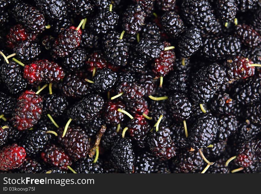 Background texture of fresh mulberries. Selective focus. Background texture of fresh mulberries. Selective focus.