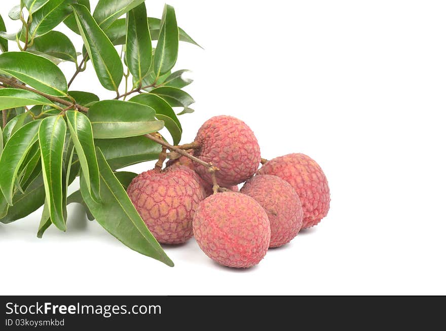 Fresh lychees isolated on white background