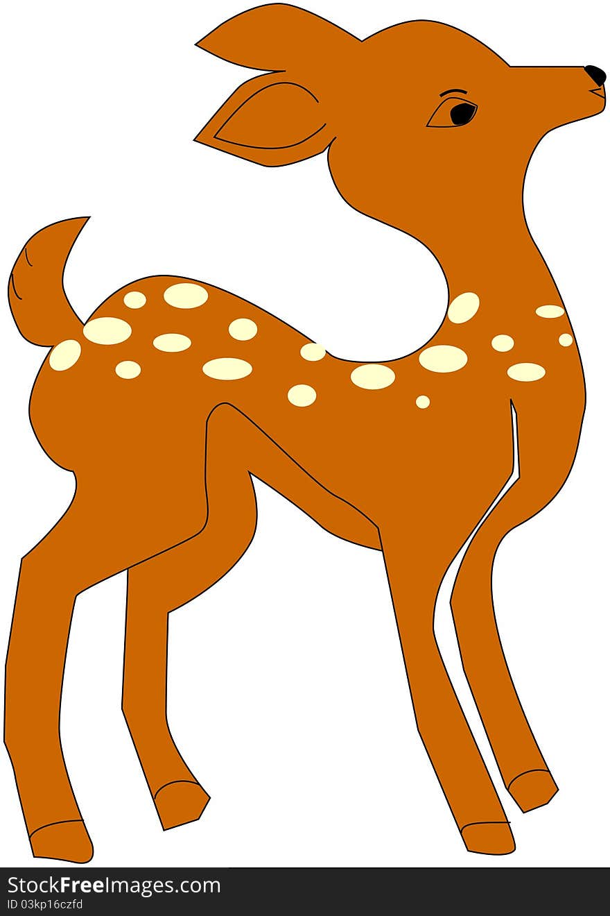 Spotted deer