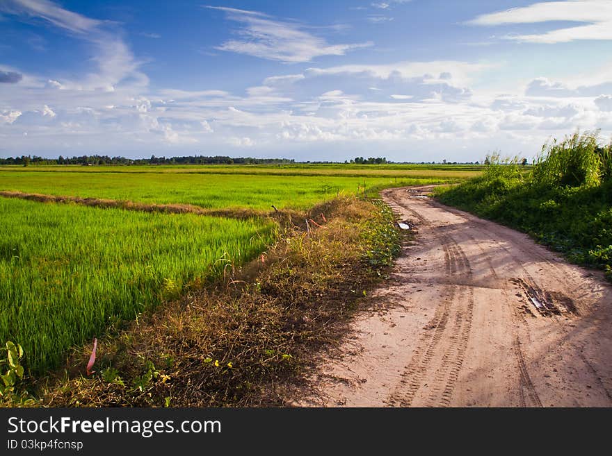 Country road with tire tracks along the paddy farmland in Thailand