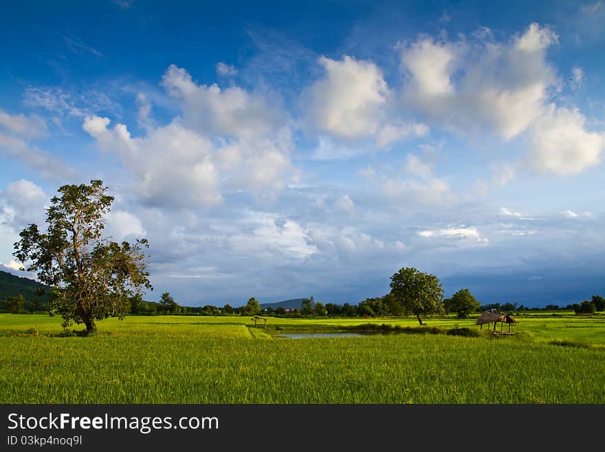 Sufficiency agriculture