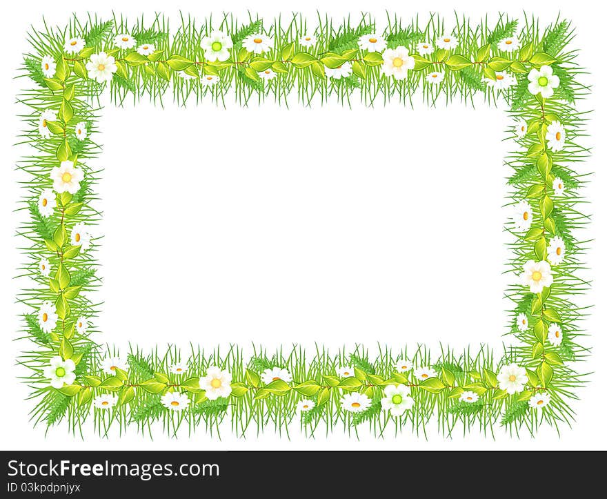 Frame with green grass flowers and leaves on white background illustration