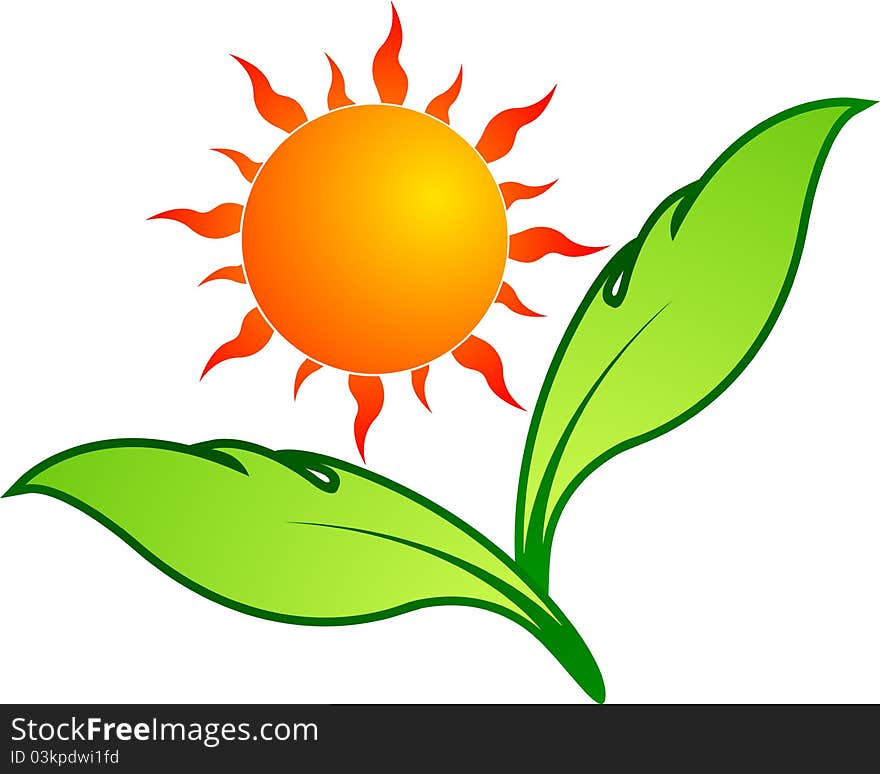 Illustration art of a sun leaf with isolated background