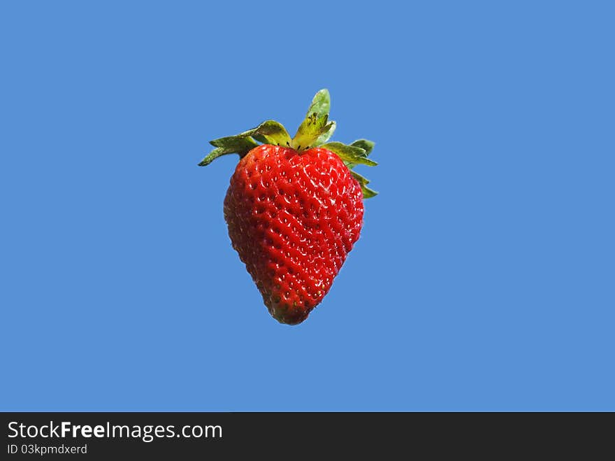 strawberry fruit