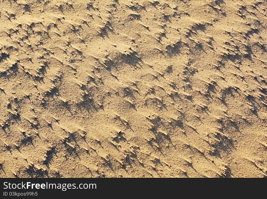 Sand patterns formed by wind, sea shells and shadow of early sun. Sand patterns formed by wind, sea shells and shadow of early sun