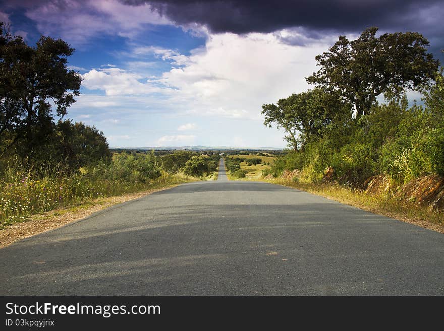 View of a rural landscape of Algarve in Portugal with a very long road on the center.