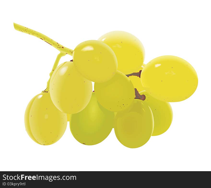 Grapes