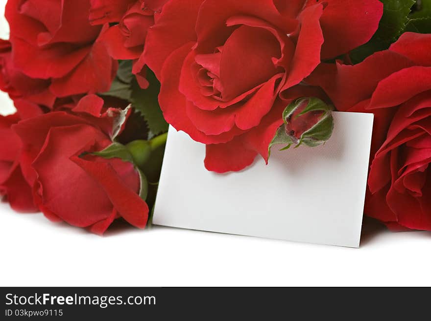 Beautiful roses with a white card