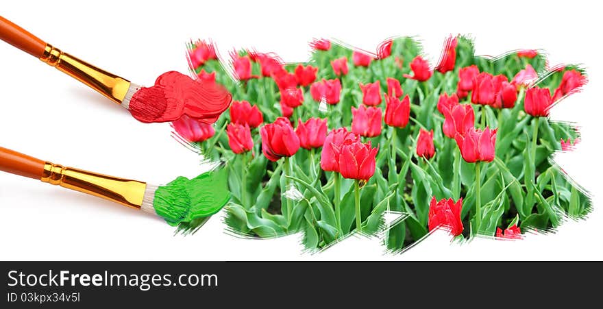 Painting field of red tulips.