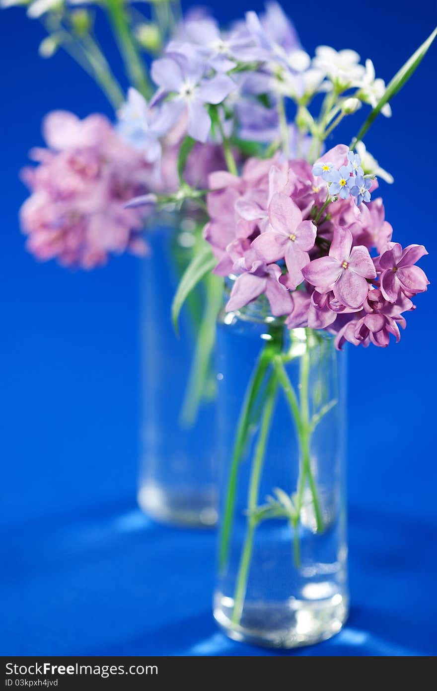 Beautiful spring flowers in a vase