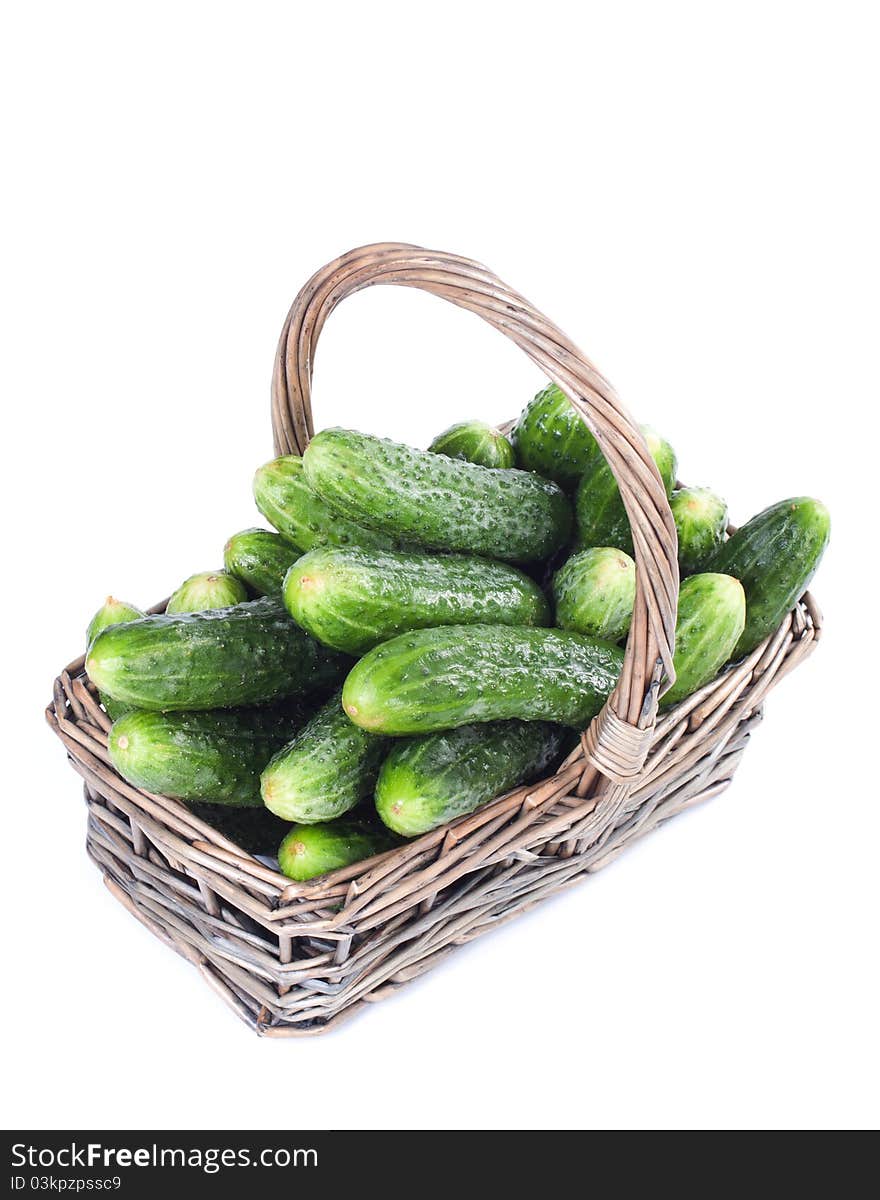 Harvest cucumbers in a basket