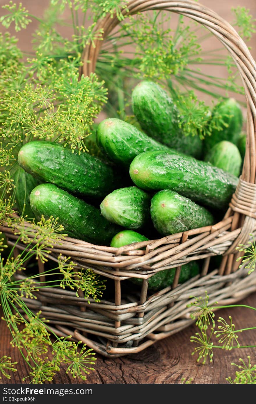 Harvest cucumbers in a basket