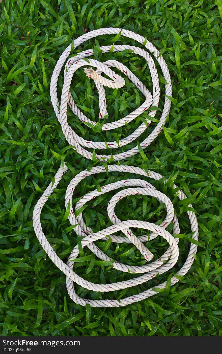 Manila Rope Coiled.