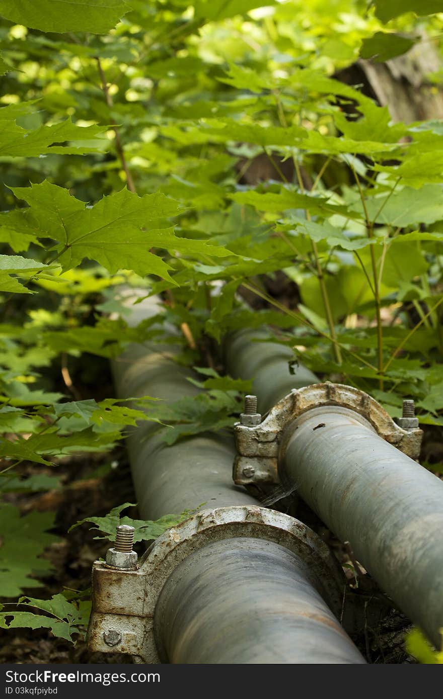 Aluminum pipes pipeline laid in the woods. Aluminum pipes pipeline laid in the woods