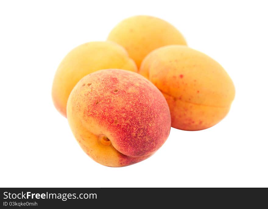 Apricot