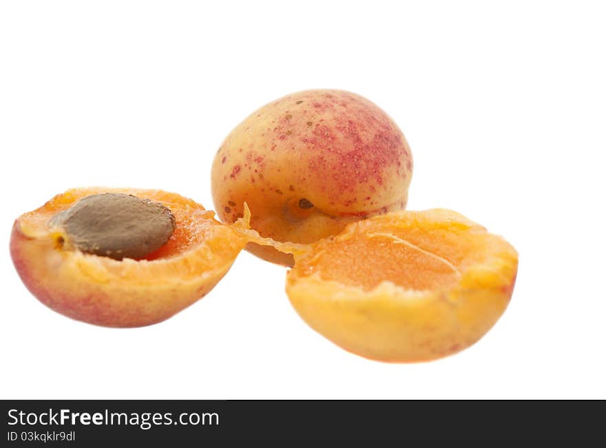 Apricot