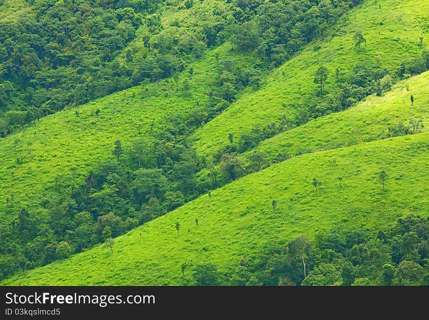 Mountain by green grass in Thailand