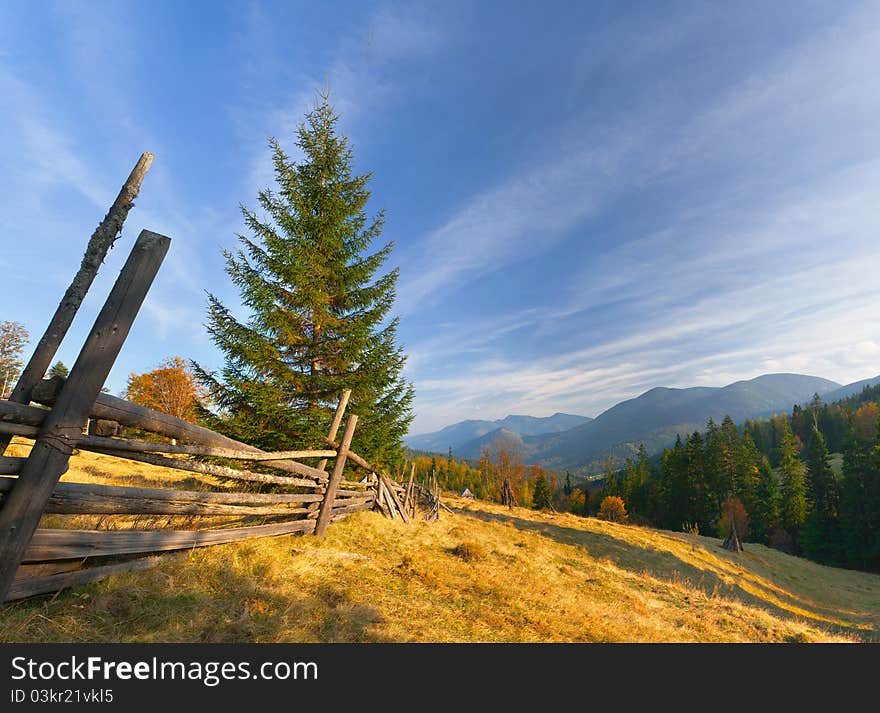 Autumn landscape