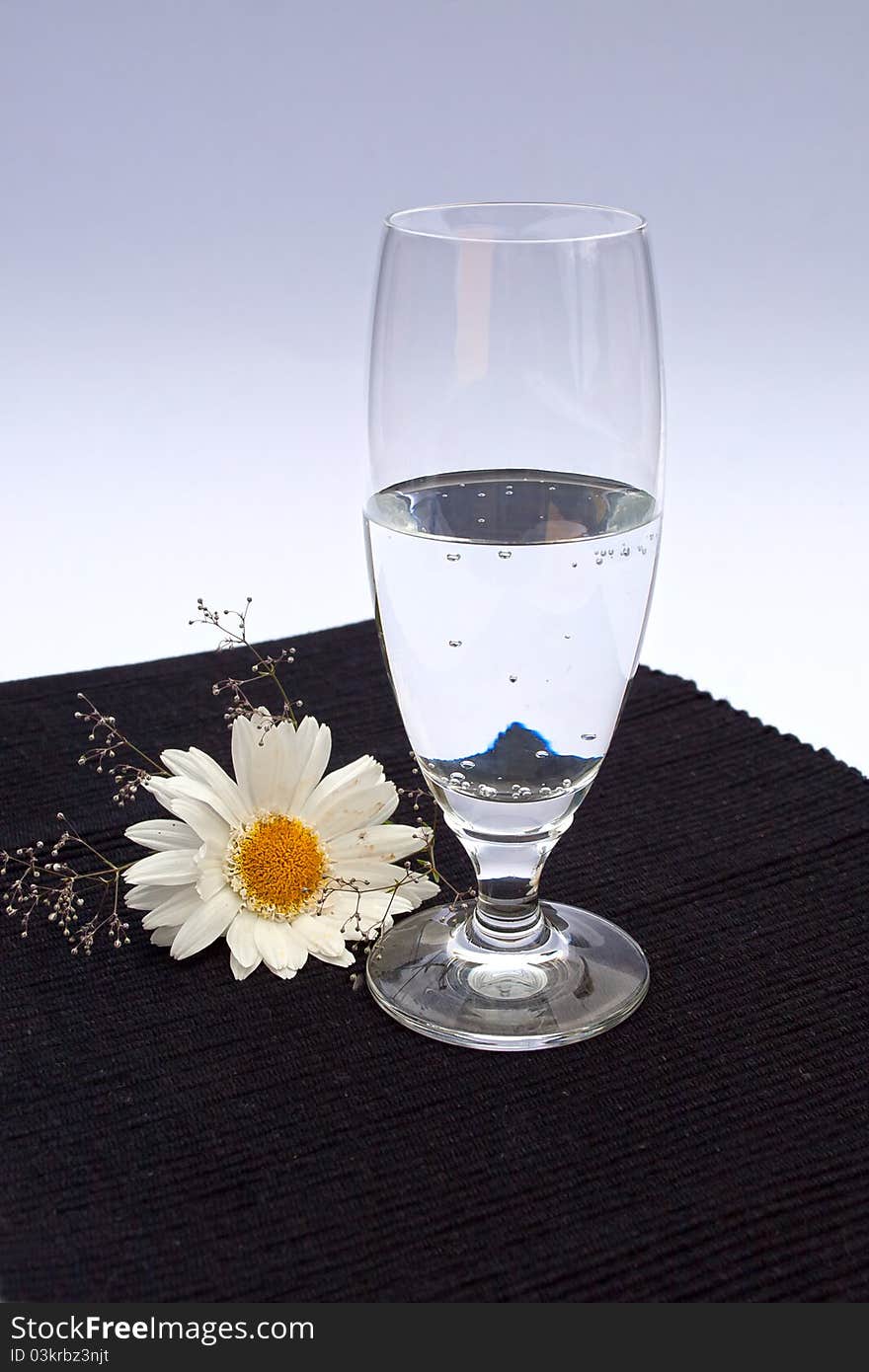 Water still life with marguerite